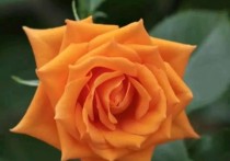 发朋友圈引人深思的一句话，句句精辟，句句在理！