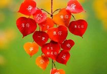 怦然心动，是爱的起点，遇见对的人，心一动，便开始了深情的爱