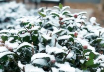 ​【美文共享】有你的冬，很暖